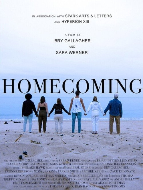 Póster de Homecoming