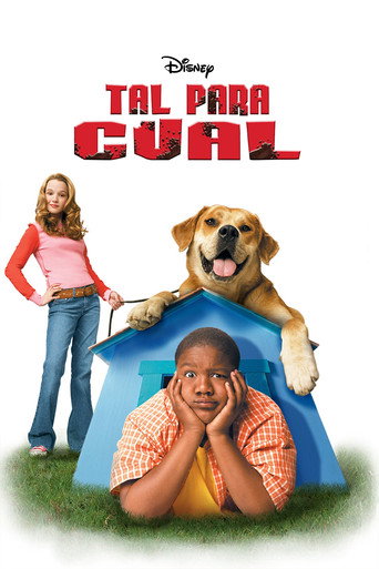 Póster de Life Is Ruff