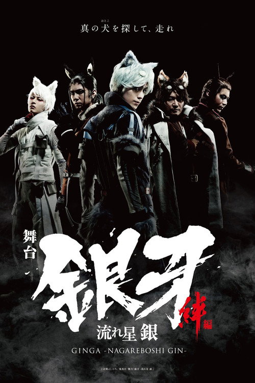 Póster de 「銀牙 -流れ星 銀-」～絆編～