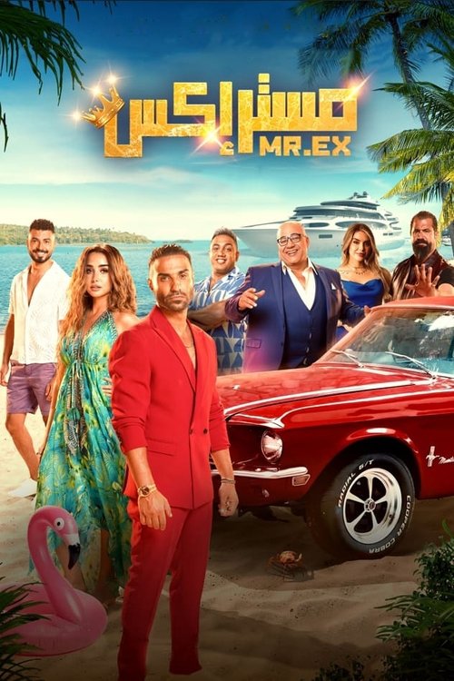 Póster de مستر إكس