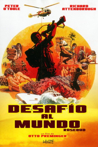 Póster de Rosebud