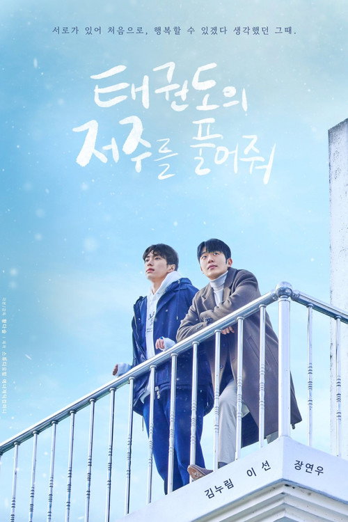 Póster de 태권도의 저주를 풀어줘