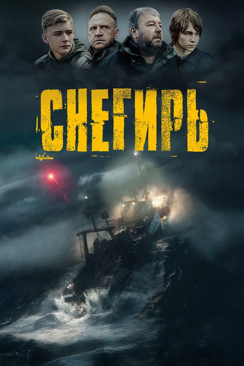 Póster de Снегирь
