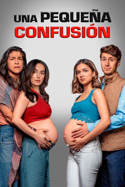 Póster de Una pequeña confusión