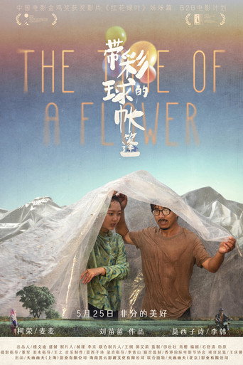 Póster de 带彩球的帐篷