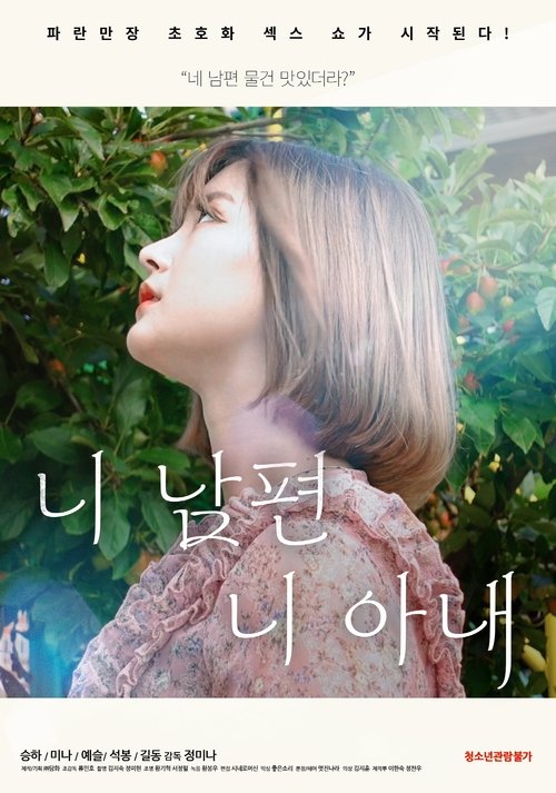 Póster de 니 남편 니 아내