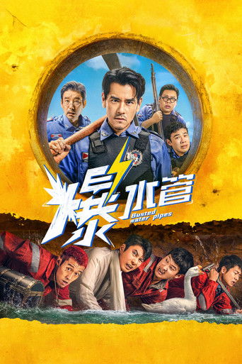 Póster de Busted Water Pipes