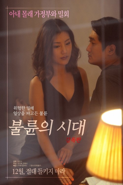 Póster de 불륜의 시대