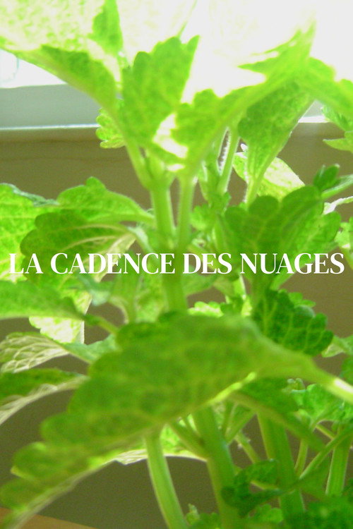 Póster de La cadence des nuages