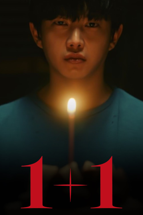 Póster de 1+1
