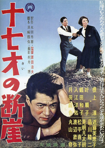 Póster de 十七才の断崖