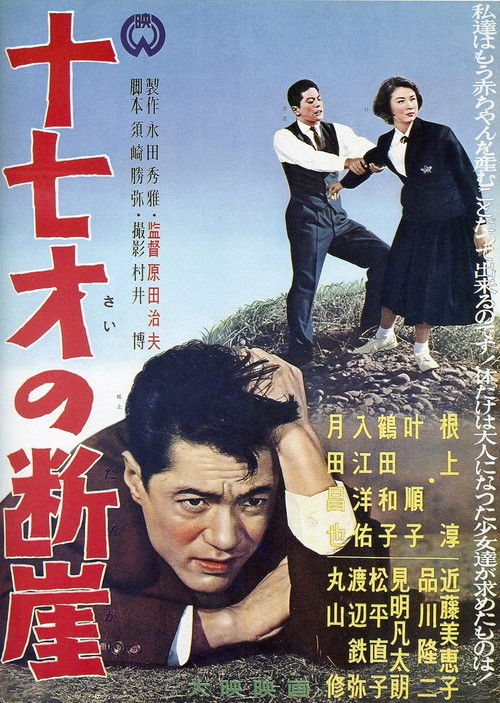 Póster de 十七才の断崖