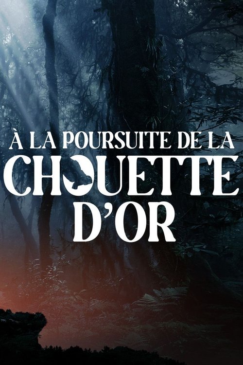Póster de À la poursuite de la chouette d'or