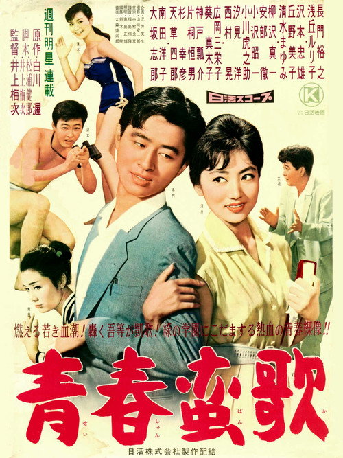 Póster de 青春蛮歌