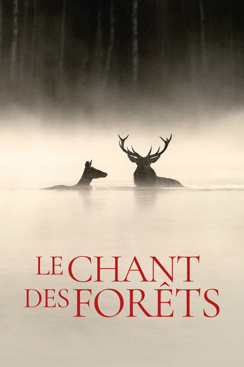 Póster de Le Chant des forêts