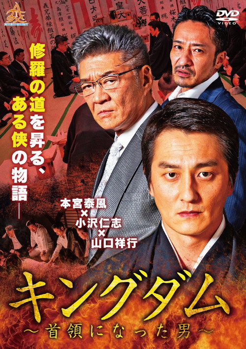 Póster de キングダム ～首領になった男～
