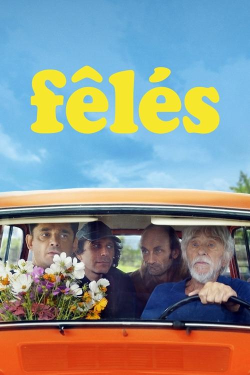 Póster de Fêlés