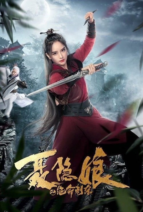 Póster de 聂隐娘之绝命刺杀