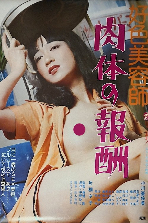 Póster de 好色美容師　肉体の報酬