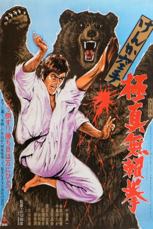 Póster de けんか空手 極真無頼拳