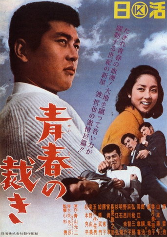 Póster de 青春の裁き