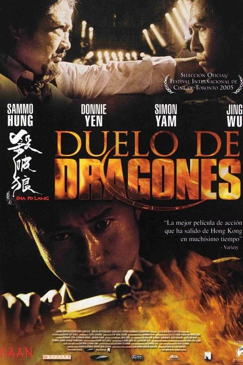 Póster de Duelo de dragones