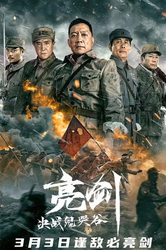 Póster de 亮剑：决战鬼哭谷