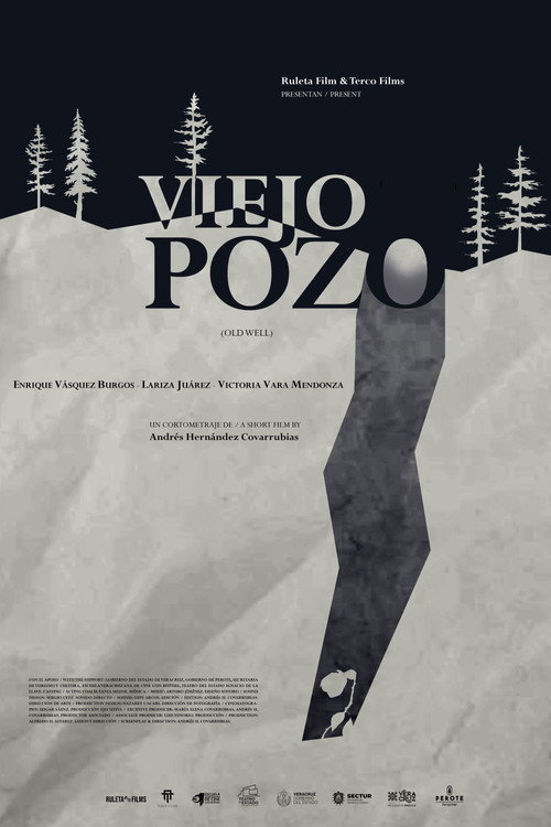 Póster de Viejo Pozo