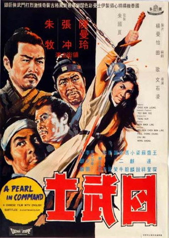 Póster de 四武士
