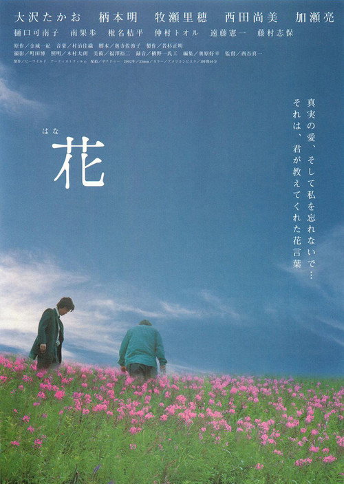 Póster de 花
