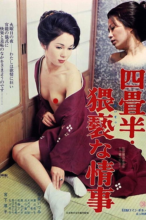 Póster de 四畳半・猥褻な情事