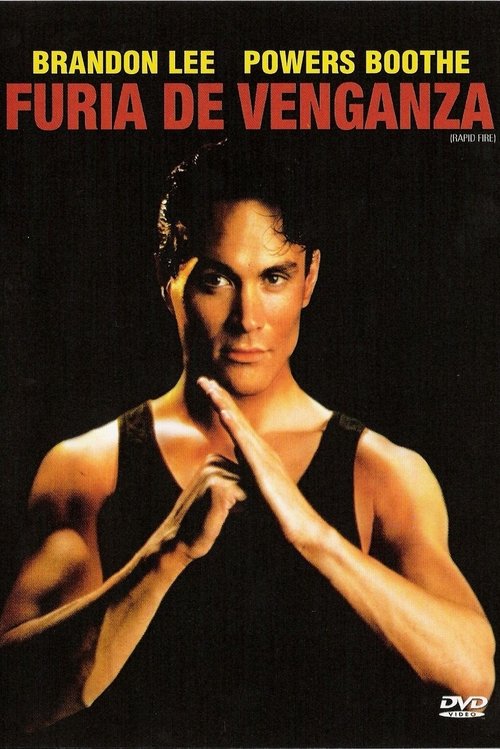 Póster de Furia de venganza