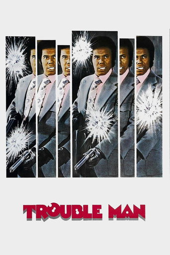 Póster de El terrible Sr. T