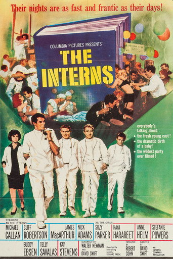 Póster de The Interns