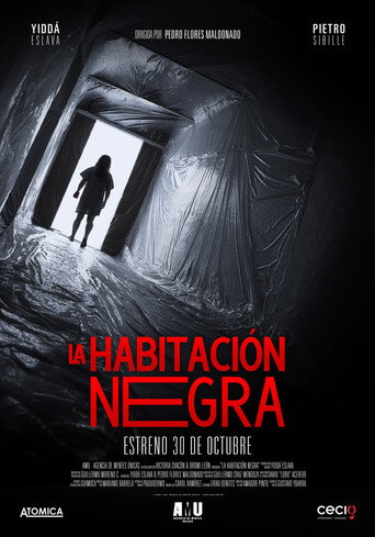 Póster de La Habitación Negra