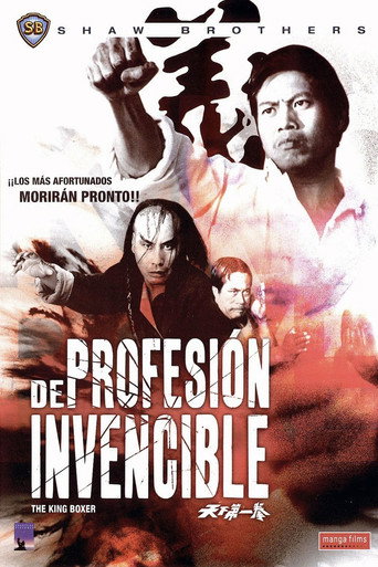 Póster de 天下第一拳