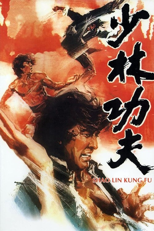 Póster de 少林功夫