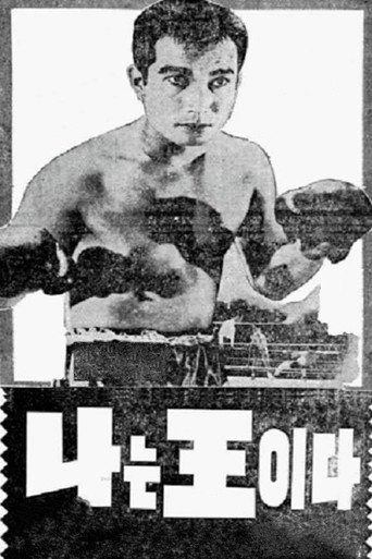 Póster de 나는 왕이다