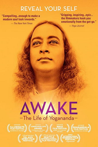 Póster de Awake: La vida de Yogananda