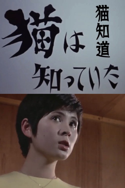 Póster de 猫は知っていた