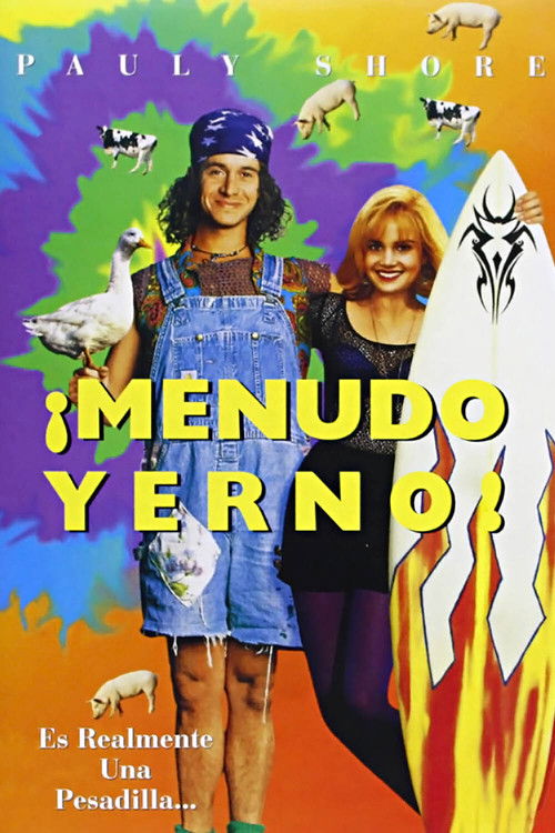 Póster de Son in Law
