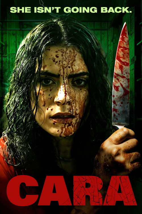 Póster de Cara