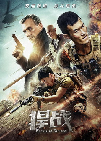 Póster de 捍战