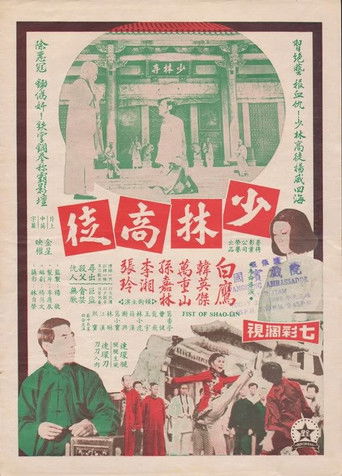 Póster de 少林高徒