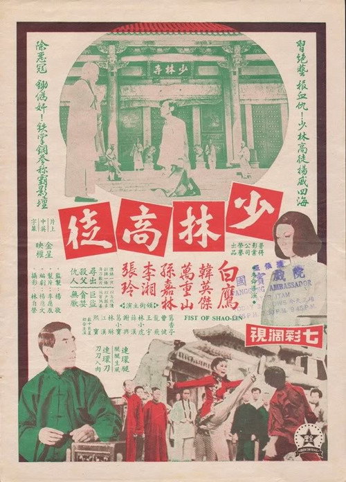 Póster de 少林高徒