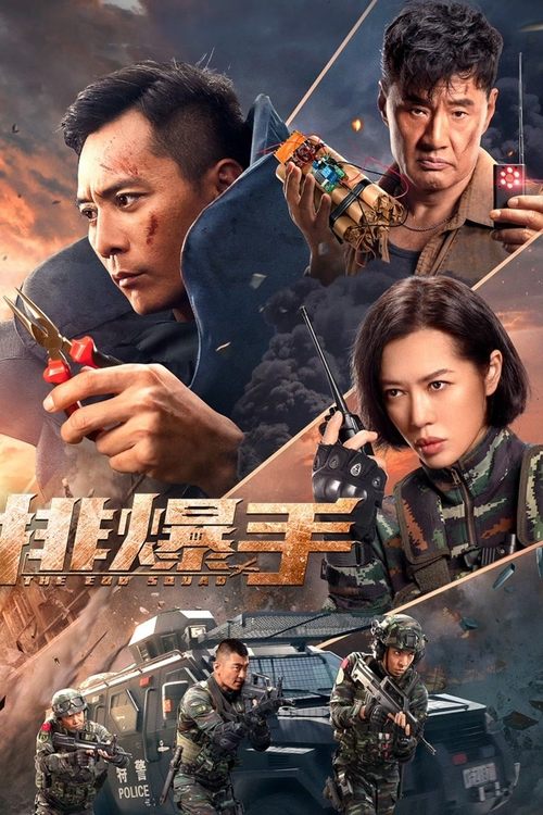 Póster de 排爆手