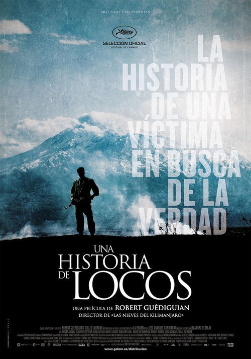 Póster de Une histoire de fou