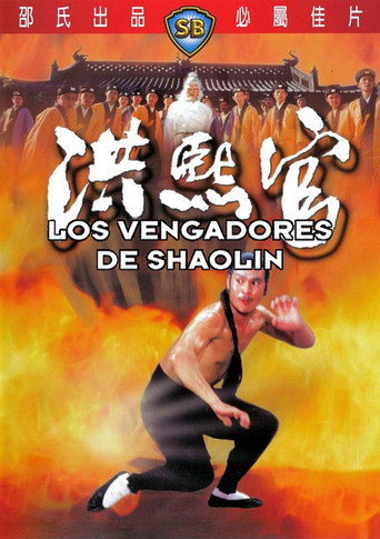 Póster de 洪熙官