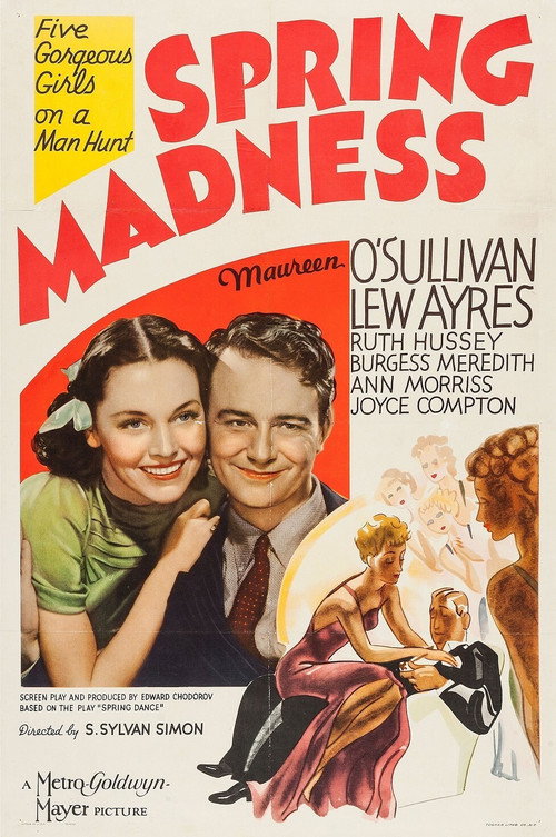 Póster de Spring Madness