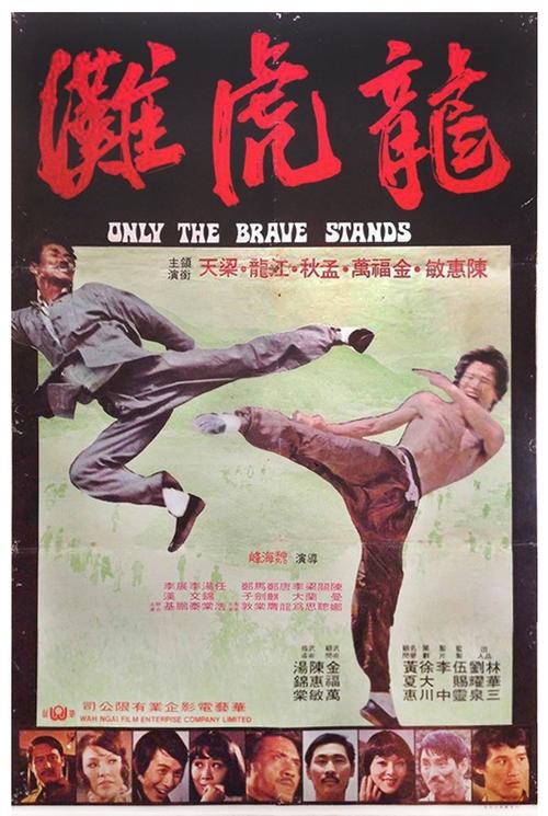 Póster de 龍虎灘